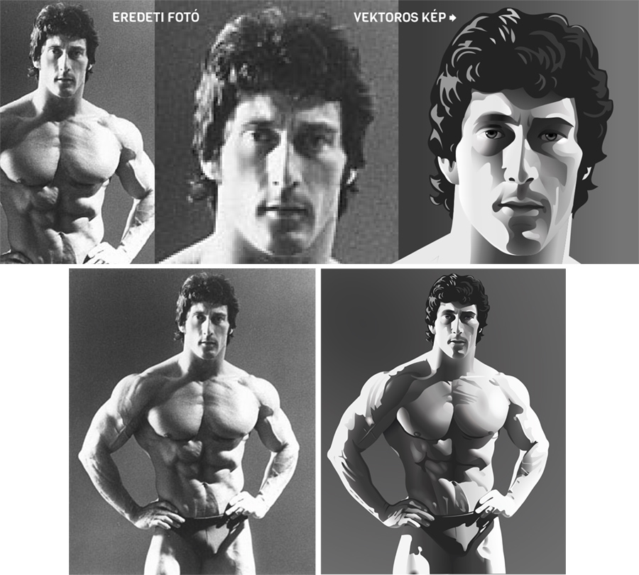 prémium vektorizálás